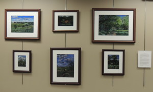 The changing art exhibit at Home State Bank features art by Nancy Thompson this month.