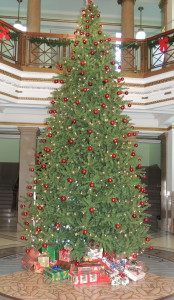 Community tree at the courthouse