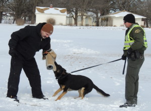 Chief deputy and K-9 handler Jack Williams (right) and deputy Dave Kersey work with Leo.