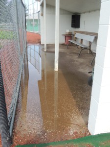 Puddle, dugout