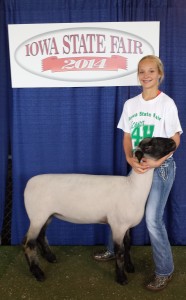 State Fair Emily Finch - Sheep