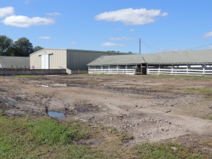 Two swine barns have been razed in preparation for a new larger barn 