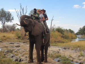 LeeAnn and Doug Monaghan ride an elephant 