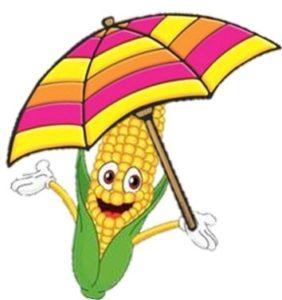 Corn w beach umbrella