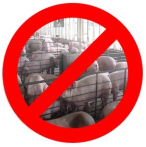 No hogs