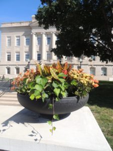 Pedestal planter