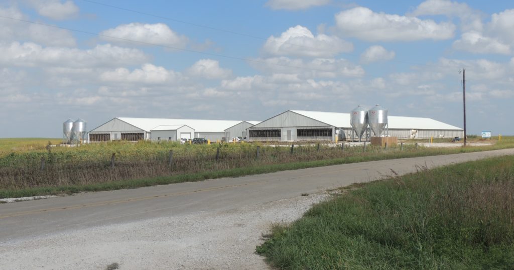 Greene County Pigs LLC, on E-57 just west of Highway 4